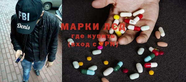ECSTASY Алзамай