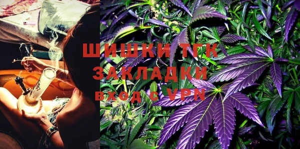 ECSTASY Алзамай