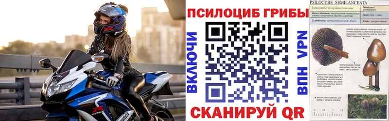 кракен как войти  Можга  Галлюциногенные грибы Psilocybe  дарнет шоп 